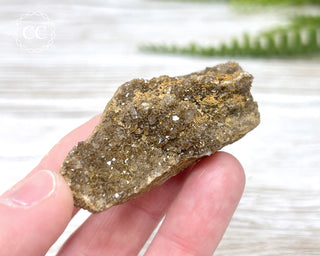 Druzy Fossil Wood Specimen #5