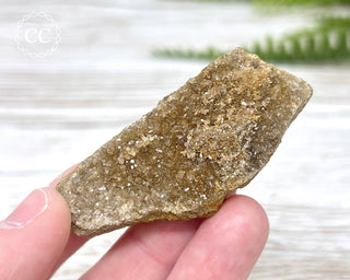 Druzy Fossil Wood Specimen #5