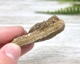 Druzy Fossil Wood Specimen #5
