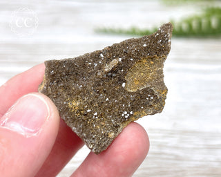 Druzy Fossil Wood Specimen #15