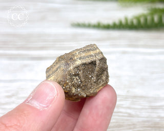 Druzy Fossil Wood Specimen #6