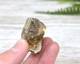 Druzy Fossil Wood Specimen #6