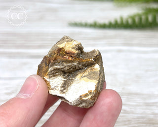 Druzy Fossil Wood Specimen #6