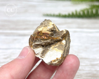 Druzy Fossil Wood Specimen #6