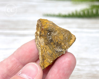 Druzy Fossil Wood Specimen #1