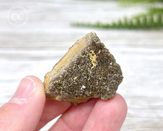 Druzy Fossil Wood Specimen #7