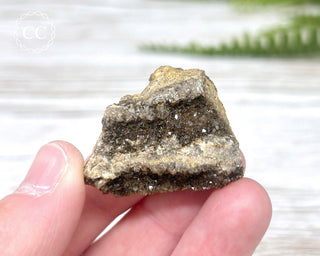 Druzy Fossil Wood Specimen #7