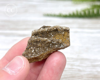 Druzy Fossil Wood Specimen #8