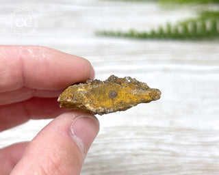 Druzy Fossil Wood Specimen #1