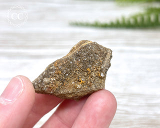 Druzy Fossil Wood Specimen #8
