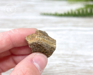 Druzy Fossil Wood Specimen #8