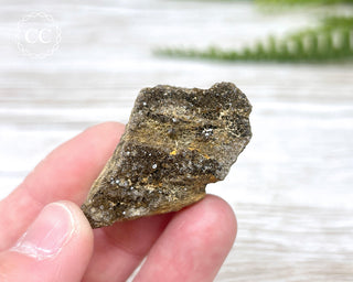 Druzy Fossil Wood Specimen #9