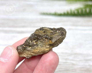Druzy Fossil Wood Specimen #9