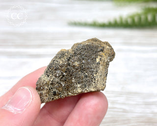 Druzy Fossil Wood Specimen #9