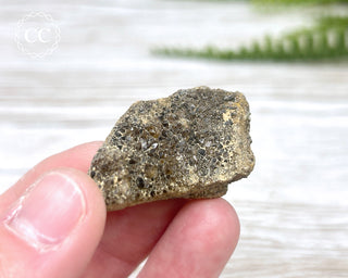 Druzy Fossil Wood Specimen #9