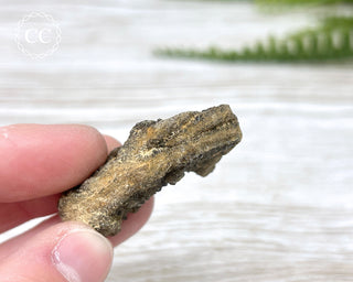 Druzy Fossil Wood Specimen #9