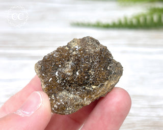 Druzy Fossil Wood Specimen #10