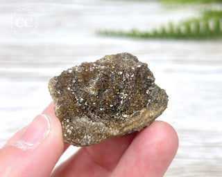 Druzy Fossil Wood Specimen #10