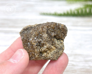 Druzy Fossil Wood Specimen #10