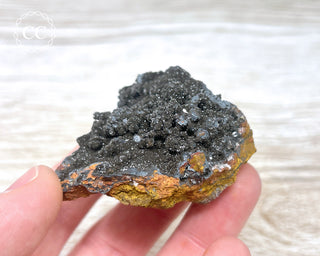 Druzy Goethite Specimen #2
