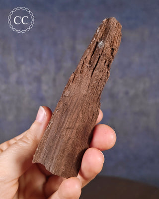 Druzy Permineralised Fossil Wood #2