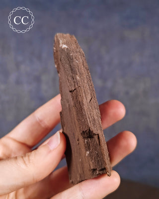 Druzy Permineralised Fossil Wood #2