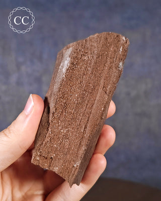 Druzy Permineralised Fossil Wood #2