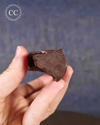 Druzy Permineralised Fossil Wood #2