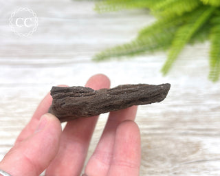 Druzy Permineralised Fossil Wood #7