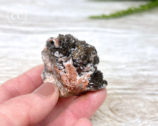 Druzy Quartz - Morocco #6