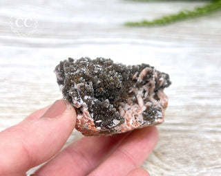 Druzy Quartz - Morocco #6