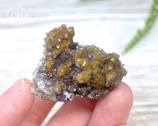 Druzy Quartz over Limonite - Morocco #1