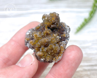 Druzy Quartz over Limonite - Morocco #1