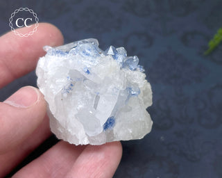 Dumortierite in Quartz Specimen #2