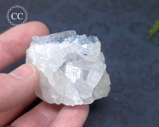Dumortierite in Quartz Specimen #2
