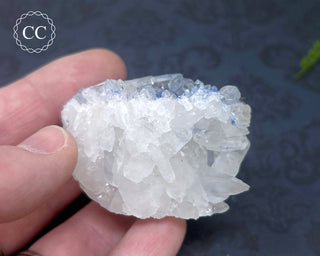 Dumortierite in Quartz Specimen #2