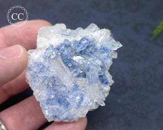 Dumortierite in Quartz Specimen #2