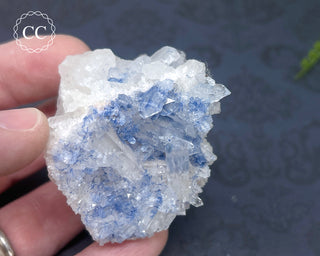 Dumortierite in Quartz Specimen #2