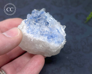 Dumortierite in Quartz Specimen #2