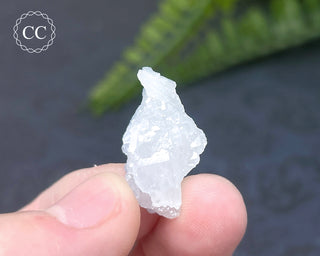 Dumortierite in Quartz Specimen #9