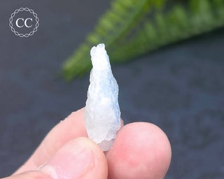Dumortierite in Quartz Specimen #9