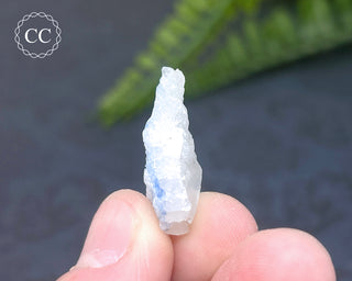 Dumortierite in Quartz Specimen #9