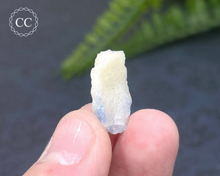 Dumortierite in Quartz Specimen #10