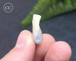 Dumortierite in Quartz Specimen #10