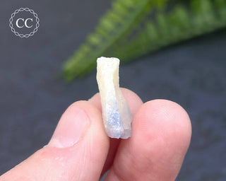 Dumortierite in Quartz Specimen #10