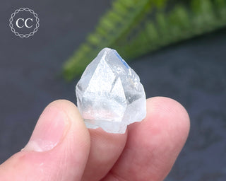 Dumortierite in Quartz Specimen #11