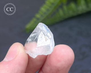 Dumortierite in Quartz Specimen #11