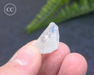 Dumortierite in Quartz Specimen #11
