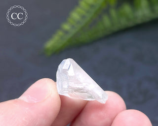 Dumortierite in Quartz Specimen #11