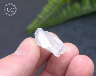 Dumortierite in Quartz Specimen #11